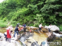 거창군 가북면∙신원면, 수질개선 위해 다슬기 방류