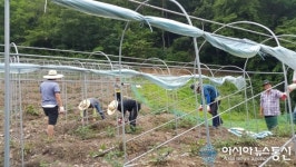 아산시 자치행정과, 농촌일손돕기