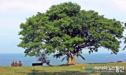 울진 후포 등기산서 아련한 첫사랑을 만나다