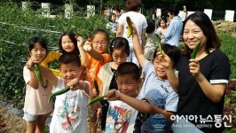 영동 학산초, 녹색체험 텃밭서 고추ㆍ오이 등 수확