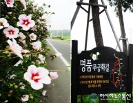 창녕 영산∙도천 국도, 명품 무궁화 길 시선