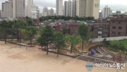 영등포구, 우신초 등 4개 초등학교 녹지공간 조성사업 완공