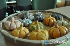 충남서산 회포마을에서의 ‘해피버스데이’