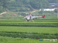 남해군, 무인헬기로 벼 병해충 항공방제