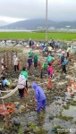 남해군 이동면새마을지도자협의회∙부녀회, 해안변 환경정비