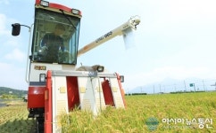 경남 고성군, 벼 2기작 ‘첫 수확’