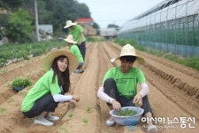 서울대생 300명, 옥천지역서 농촌봉사활동 펼쳐