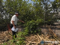 공.폐가 일제점검 나선 둔산경찰서