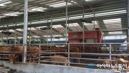 청양군 정산면,  축사내 환경 위생관리  행동요령 당부