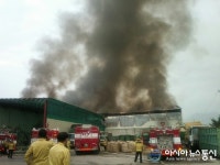 (포토)단양군 적성농공단지 폐기물 처리업체 화재