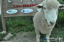 해피버스데이 2015 11번째 여정, 경기 여주 은아목장