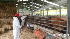 포항시, 태풍 후 가축 전염병 차단 방역 실시