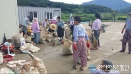 의령 대의 하촌마을, 할머니들 환경정화 활동 눈길