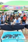 ‘과일의 고장’ 영동서 열린  영동포도축제 대성황
