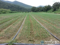 보은 속리산관광협의회, 지역농가와 손잡고 ‘상생’