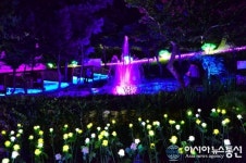 완주힐조타운 산속여우빛축제