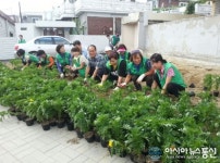 가양2동 주민센터 인근 가을꽃밭 조성