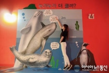 아쿠아플라넷 여수, 벨루가와 함께하는 키재기 포토존 오픈
