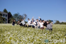 메밀꽃 필 무렵엔 대구대로 놀러오세요