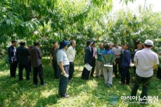 영천시, 나노소재 과실품질 향상 현장평가회 개최