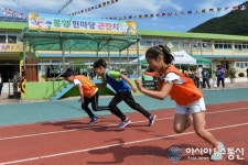정선군 봉양초 한마당 큰잔치 열려
