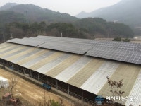 농협, 축사지붕 태양광발전사업 지원 확대