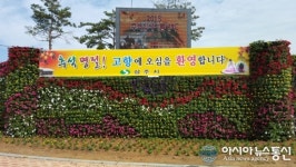 상주시, 후천교 사거리 꽃벽 설치