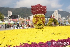 창원시, ‘제15회 마산가고파국화축제’ 준비 박차