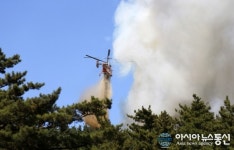 태안 연포해수욕장 인근 산불 발생