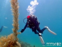 울진서 펼쳐지는 해양 축전...내달 7일 전국 스킨스쿠버 대회