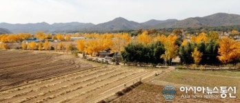 청라 은행마을 축제 31일 ‘팡파르’