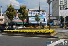 마산합포구 동서동, 서성광장에 조성한 꽃 만개 ‘눈길’