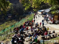 계룡산 동학사-갑사 코스 인기