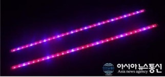 빛솔LED, 식물생장용 LED bar 신규 출시