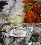 한방물회와 굴구이의 콜라보, 거제도맛집 “티파니횟집”