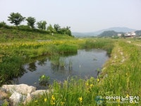 용인시, 경안천 생태하천 콘테스트 전국 1위 선정
