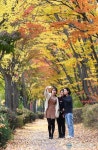 울긋불긋 단풍으로 물든 거리...유성 탄동천변 산책로 낙엽거리 조성