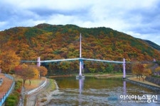 의령 구름다리 단풍