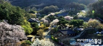 대전 관광사진 대상 ‘남간정사의 아침’