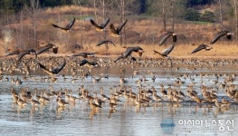 창녕 우포늪, 한국관광 100선 온라인 이벤트 1위 차지