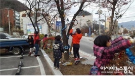 설악산배움터, 크리스마스 트리 봉사로 따뜻한 분위기 만들어