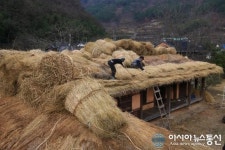 의령 조씨고가 초가지붕으로 새단장