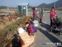 남해군 이동면 문현마을, 마을 도로변 꽃길 정비