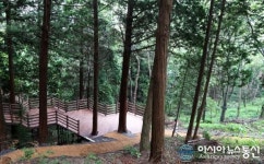 하동군, 이명산 편백 氣 받으러 오세요