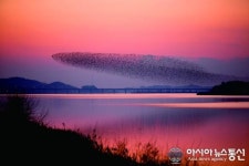 서천군 금강하구 자전거길, 힐링관광의 명소로 발돋움