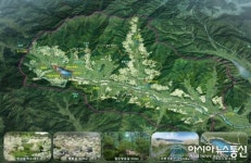 경북도, 무을 돌배나무 특화 숲 조성