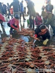 설 대목 분주한 울진 죽변항