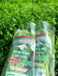 경산 남천 맥반석 미나리 본격 출하