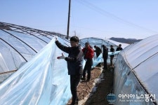 합천 쌍책면 시설하우스 돌풍 피해 응급복구