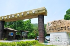 단양군 소선암 자연휴양림 사계절 휴양지 인기